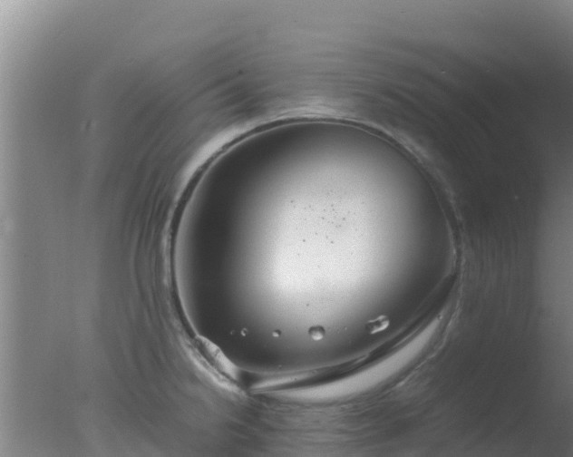 X0000077361238200610271846