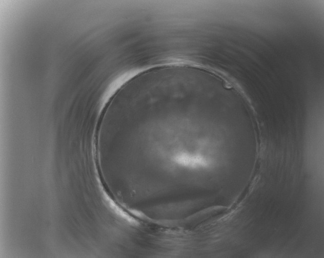 X0000077361239200610271846