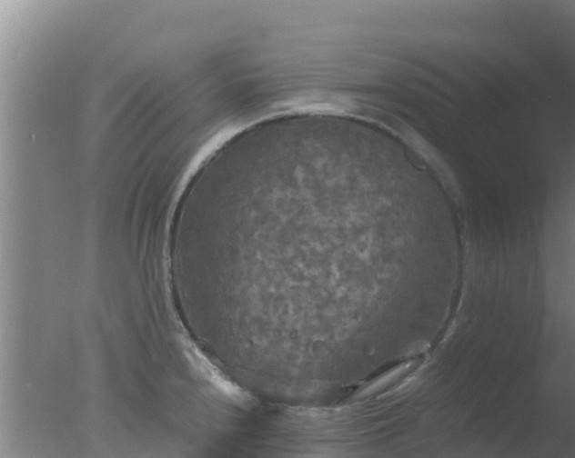 X0000077361240200610271846