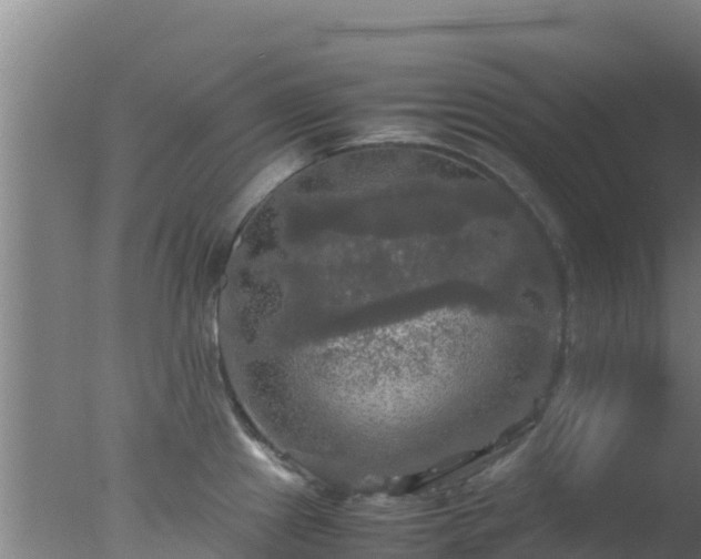 X0000077361241200610271846