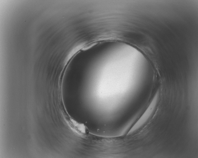 X0000077361242200610271846