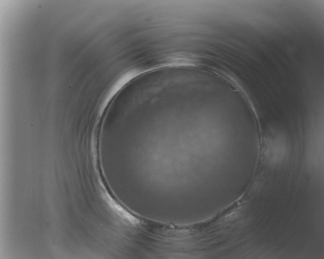 X0000077361243200610271846