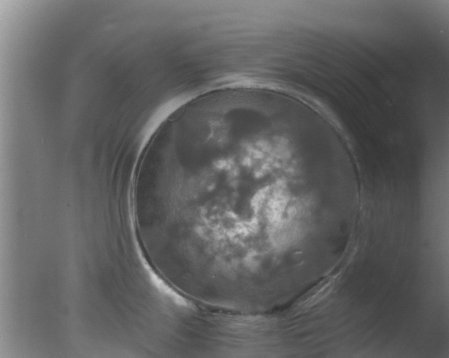 X0000077361247200610271846