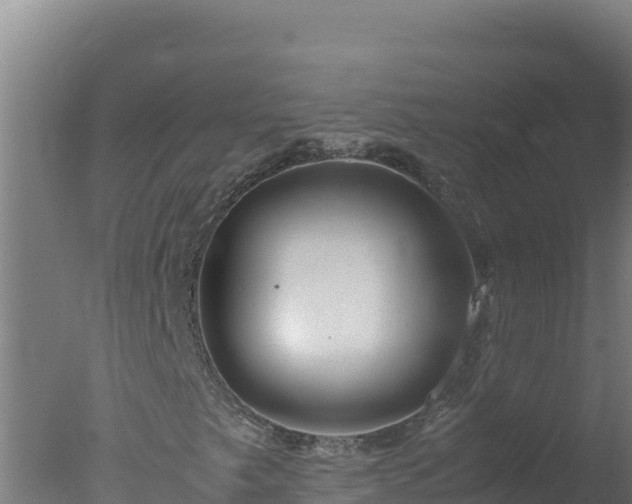 X0000077361249200610271845