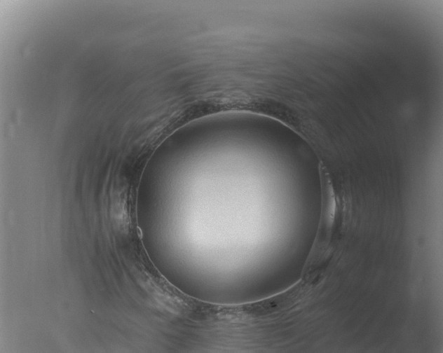 X0000077361250200610271845