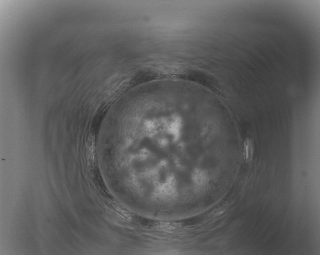 X0000077361251200610271845