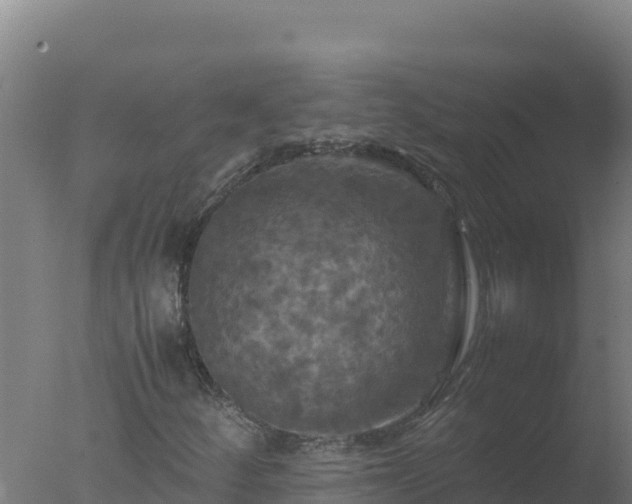 X0000077361252200610271845