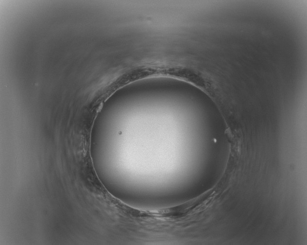 X0000077361253200610271845