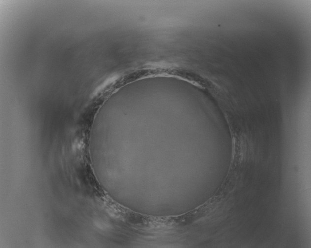 X0000077361254200610271845