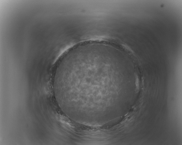 X0000077361256200610271845