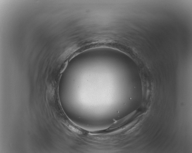 X0000077361257200610271845