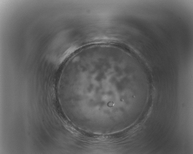 X0000077361259200610271845