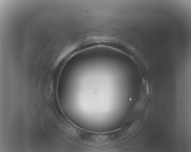 X0000077361261200610271845