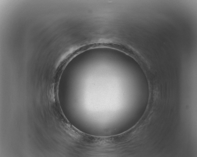 X0000077361262200610271845