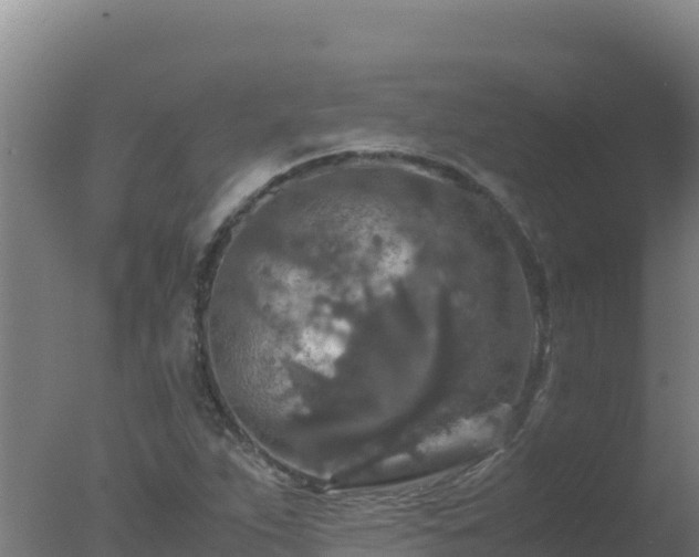 X0000077361263200610271845