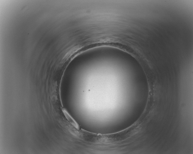 X0000077361265200610271845