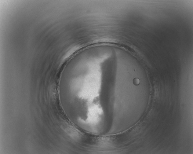 X0000077361266200610271845