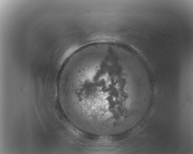 X0000077361267200610271845