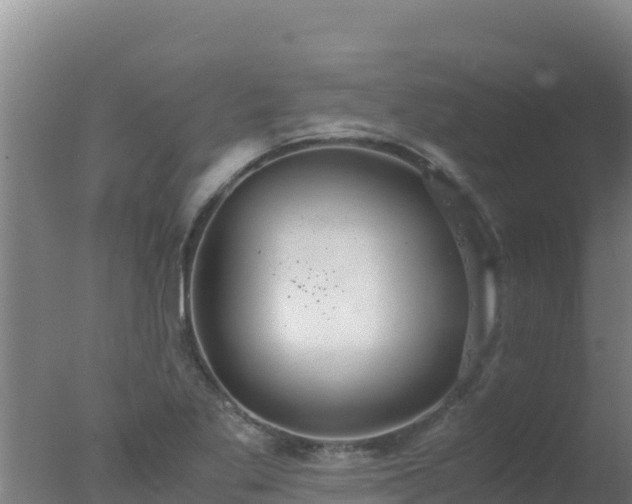 X0000077361269200610271845