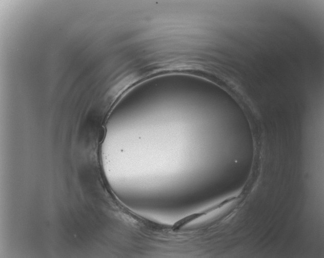 X0000077361273200610271845