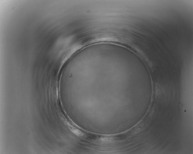 X0000077361274200610271845