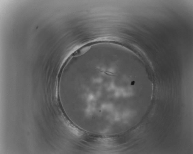 X0000077361276200610271845