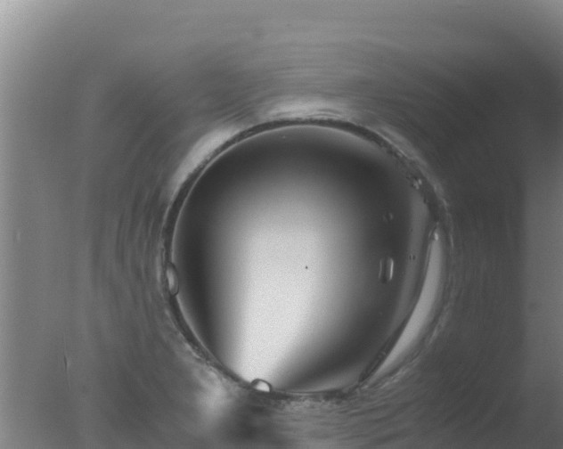 X0000077361277200610271845