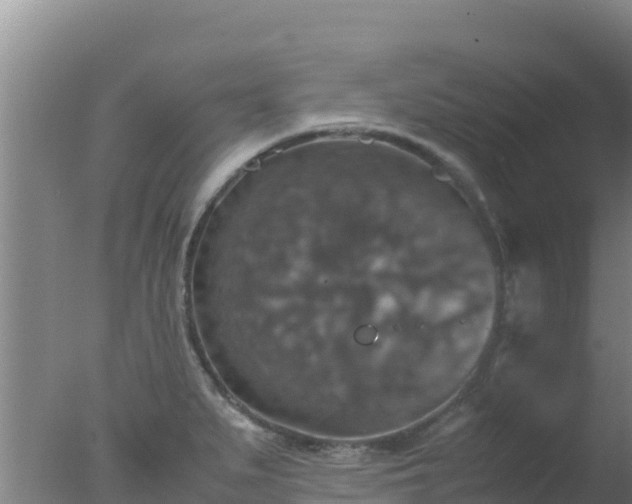 X0000077361279200610271845