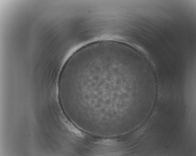 X0000077361280200610271845