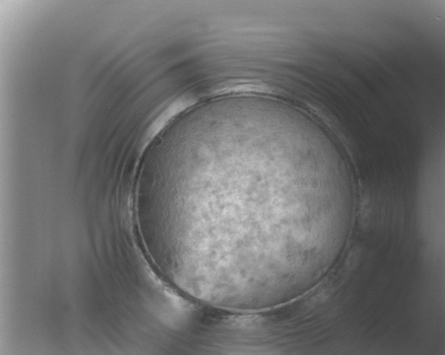 X0000077361282200610271844