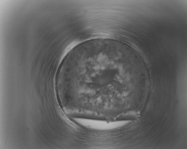 X0000077361283200610271844