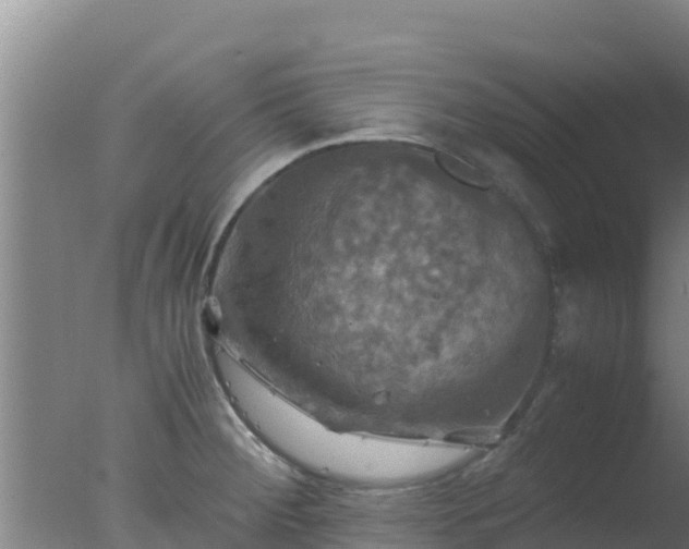 X0000077361284200610271844