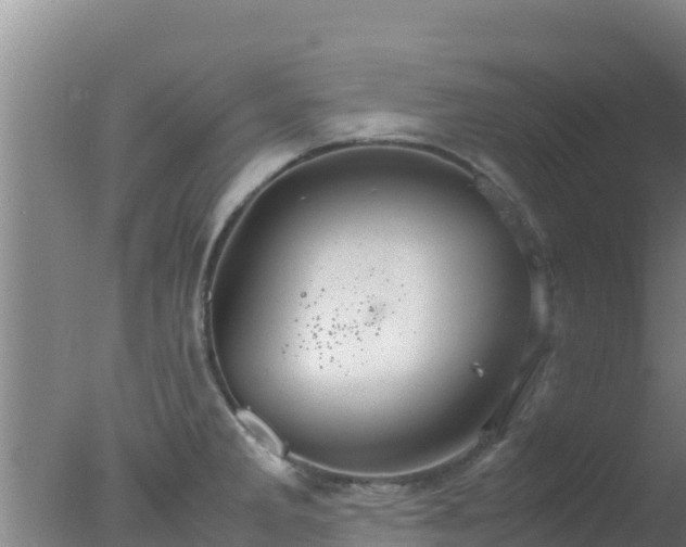 X0000077361285200610271844