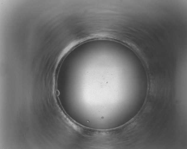 X0000077361286200610271844