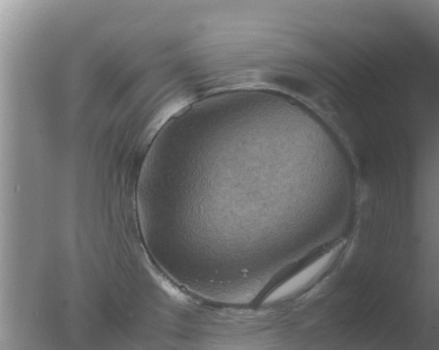 X0000077361289200610271844