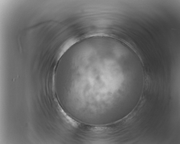 X0000077361290200610271844