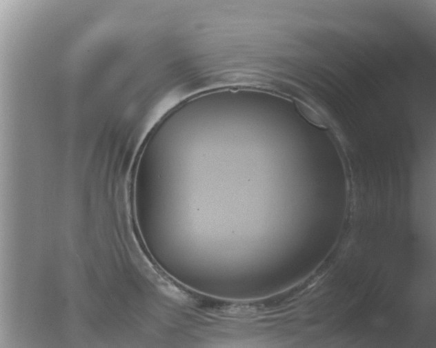 X0000077361291200610271844