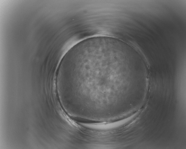 X0000077361292200610271844