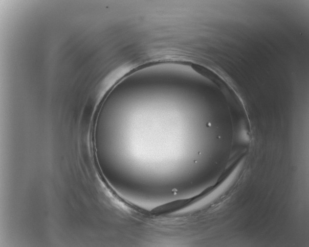 X0000077361293200610271844