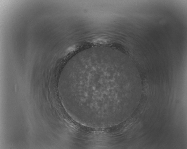 X0000077361297200610271843