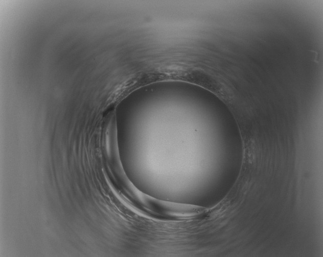 X0000077361298200610271843