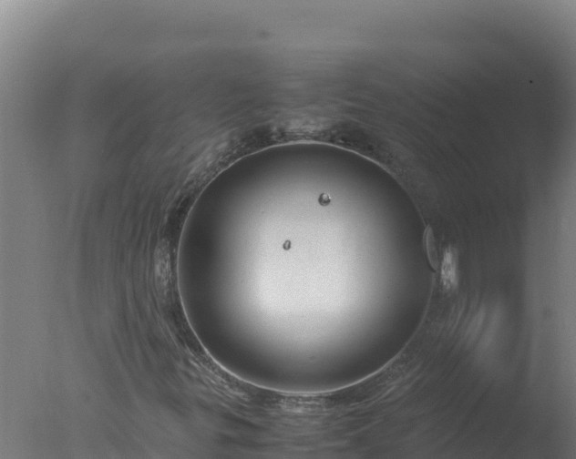 X0000077361299200610271843