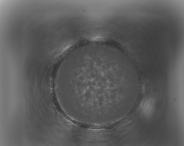 X0000077361301200610271844