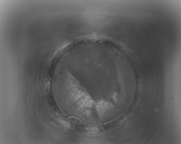 X0000077361302200610271844