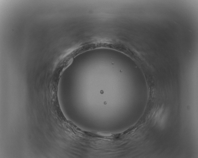 X0000077361303200610271844