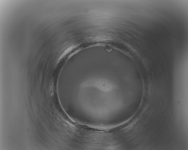 X0000077361306200610271844