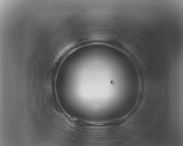 X0000077361307200610271844