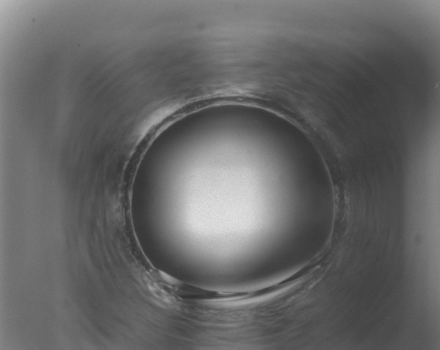 X0000077361308200610271844