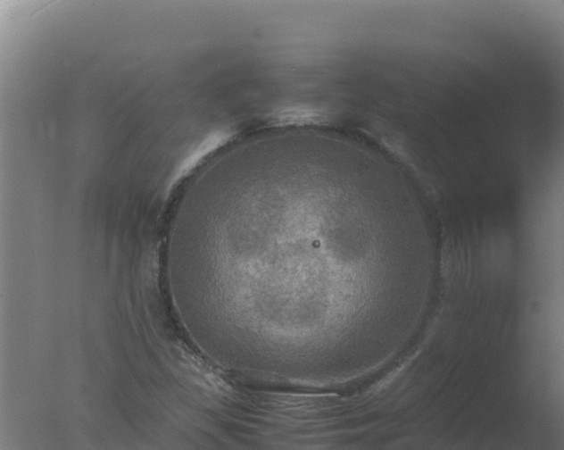 X0000077361309200610271844