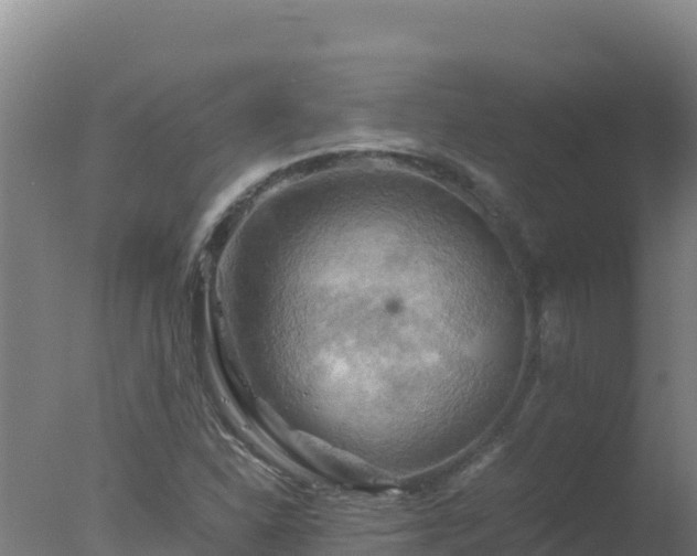 X0000077361310200610271844